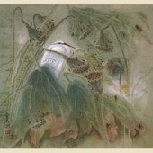 ����ϡ��Ļ