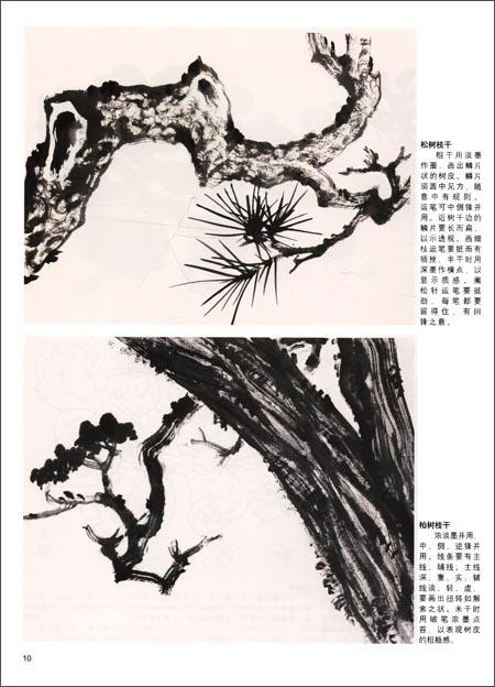 中國  手書花鳥 花鳥 中国画入門 中国画入门・花鸟 | 中国美術 芸術 趣味