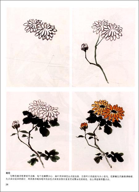 花鳥 中国画入門 中国画入门・花鸟 | 中国美術 芸術 趣味