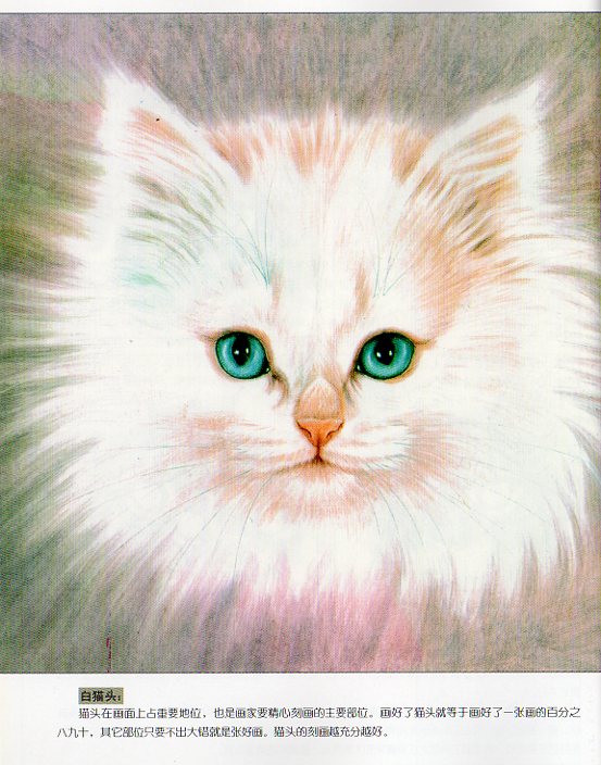 猫　挿絵　額　絵画　中国美術　額 猫 挿絵 額 絵画 中国美術 額 猫の肖像(18) 手描き作品 額付 絵画