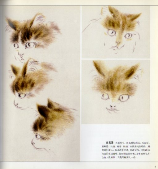 猫 工筆画範 栄宝斎中国画技法叢書 中国絵画/猫 工笔画范