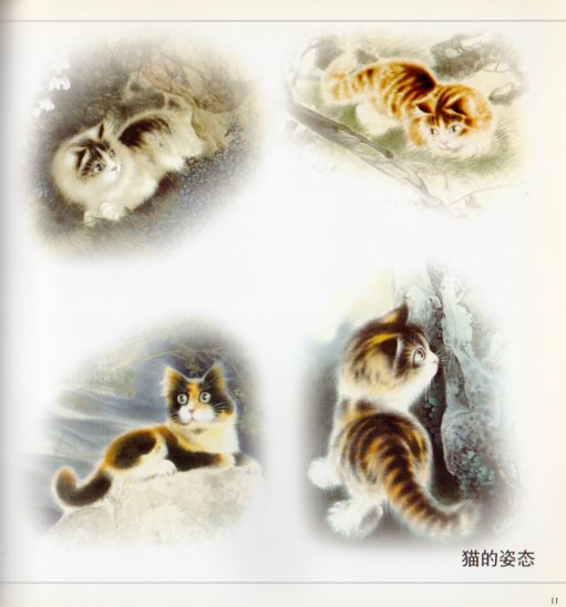 【入手困難】美術品 絵画 中国 工筆画 81RkDIglbyL._UF350,350_QL50_.jpg