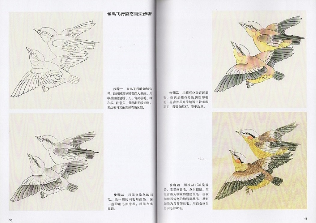 花鳥 工筆重彩画法 中国絵画/花鸟 工笔重彩画法