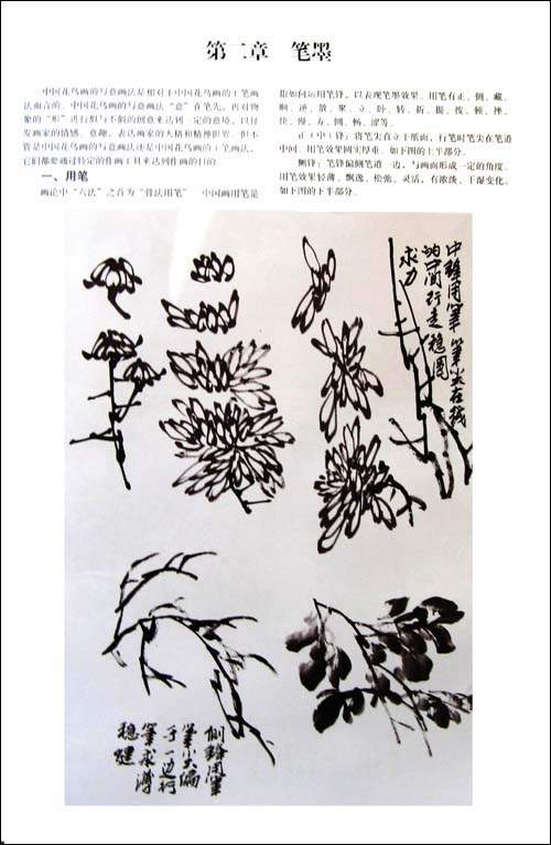 真作】掛軸 菊花図 水墨画 書画作品 詩文入 美術品 伝統書画 R191 真