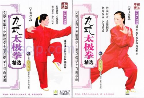 九式太極拳 精選 十面埋伏 龍飛鳳舞 DVD2枚 武術・太極拳・気功・中国 