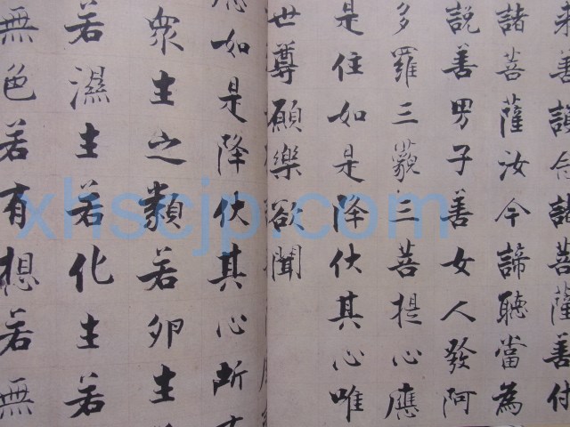 張即之 金剛経 中国書法大系 中国語書道/张即之 金刚