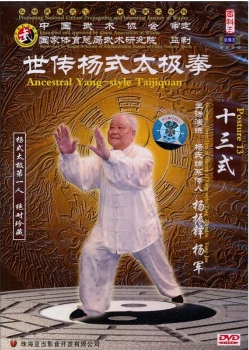 世伝楊式太極拳 十三式 中国太極拳DVD 世传杨式太极 