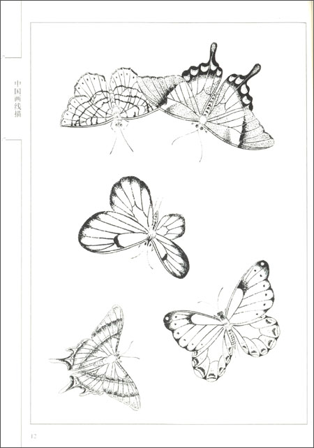 百蝶画譜 中国画線描 中国絵画/百蝶画谱 中国画线描
