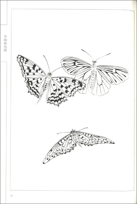 百蝶画譜 中国画線描 中国絵画/百蝶画谱 中国画线描