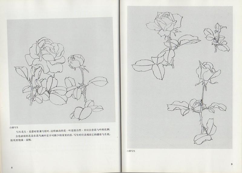 工筆コウシンバラ(庚申薔薇)画法 墨絵の描き方 中国語技法書 中国絵画