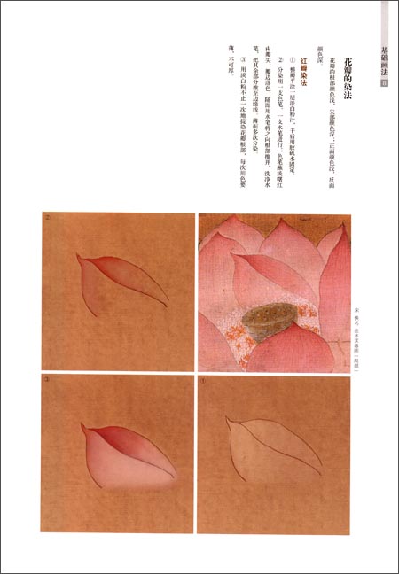 【初日カバー】 故宮名画「花鳥図」(1通) 楽天市場】酒井抱一 「十二か月花鳥図」 六月 立葵紫陽花に蜻蛉