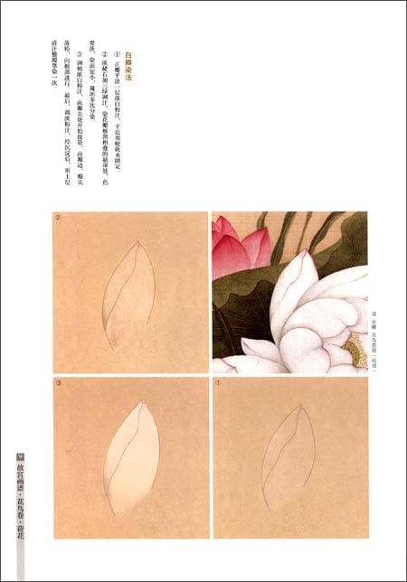 作者不詳/唐画/木蓮画賛/中国画/花図/掛軸/名家伝来/AD-170 作者不詳/唐画/木蓮画賛/中国画/花図/掛軸/名家伝来/AD-170 美術品・
