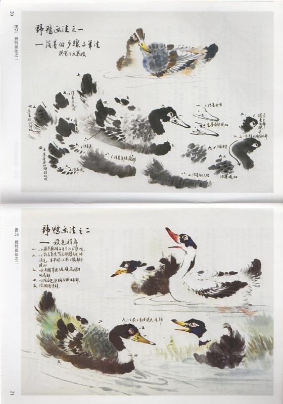 鳥編 写意花鳥画技法2 中国語墨絵の描き方 中国絵画/鸟