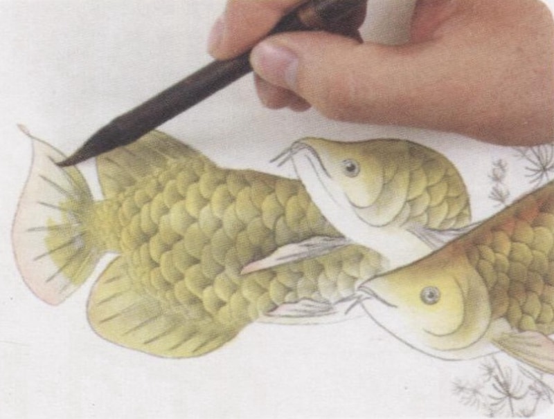 魚 工筆中国画 独学版 無師自通 中国絵画技法書 中国語書籍/鱼