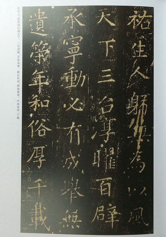 中国古画 旧蔵 書道 書画 【明代【書畫宗師 文明 之作品賞析