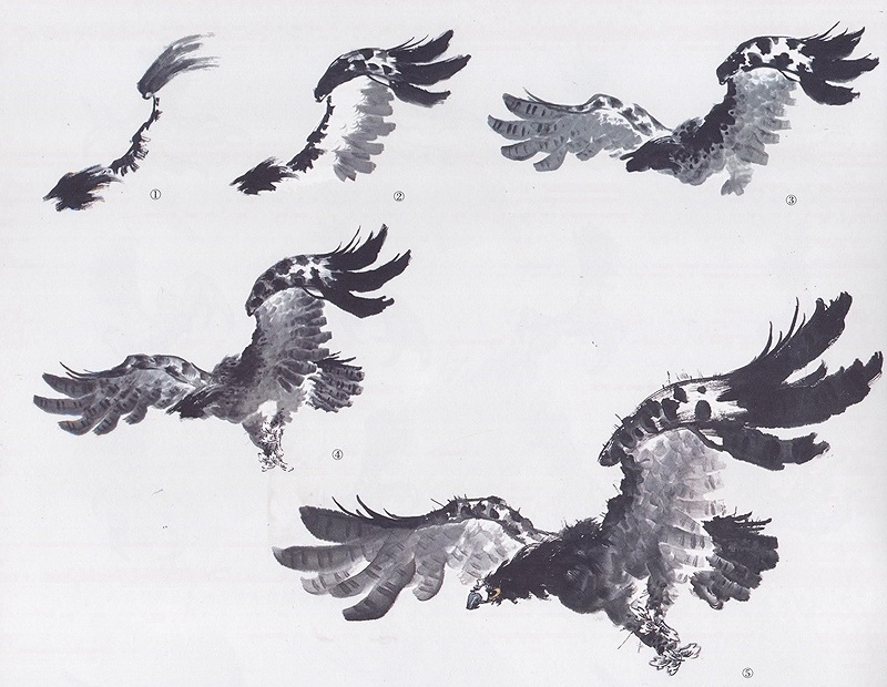タカ 鷹 中国画技法 学画宝典 中国絵画/鹰 学画宝典 | 中国美術