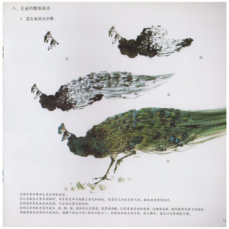 クジャク 孔雀 中国画技法 学画宝典 中国絵画/孔雀 学画宝典 | 中国