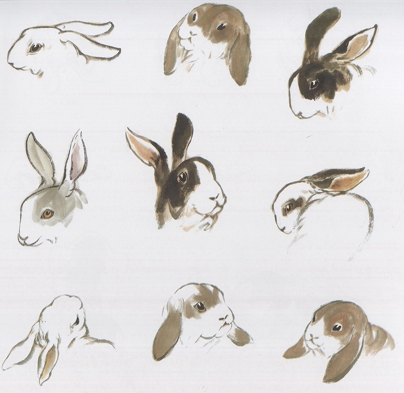 ウサギ ヒツジ 兎 羊 中国画技法 学画宝典 中国絵画/兔 羊 学画宝典