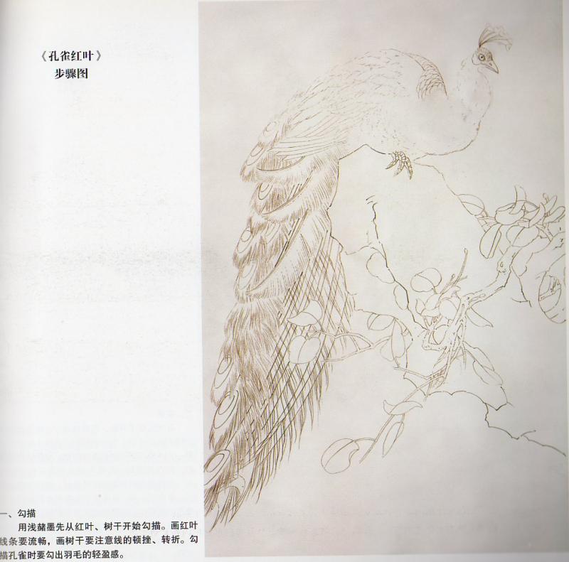 うもう 工筆羽毛画法 中国画技法叢書 中国絵画/工笔翎毛画 