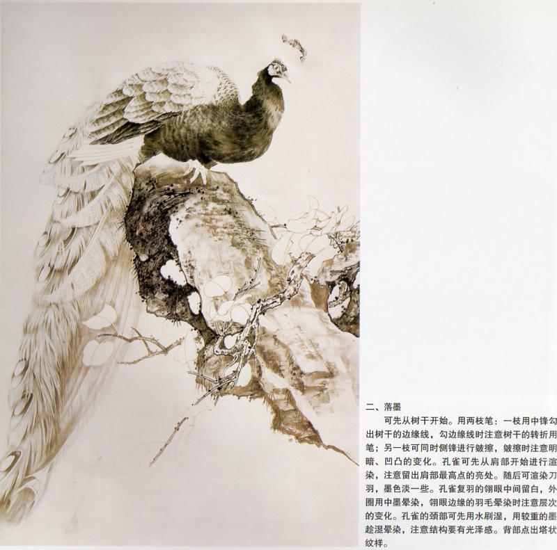 うもう 工筆羽毛画法 中国画技法叢書 中国絵画/工笔翎毛画 