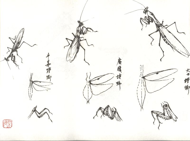 中国書画家劉湘（1963～2020年）氏作花鳥図『春意濃』図 肉筆真作保証表装前 中国書画家劉湘（1963～2020年）氏作花鳥図『春意濃』図 肉筆真