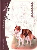 ̾������ɮ�������衡��񳨲�/̾���������线����谱