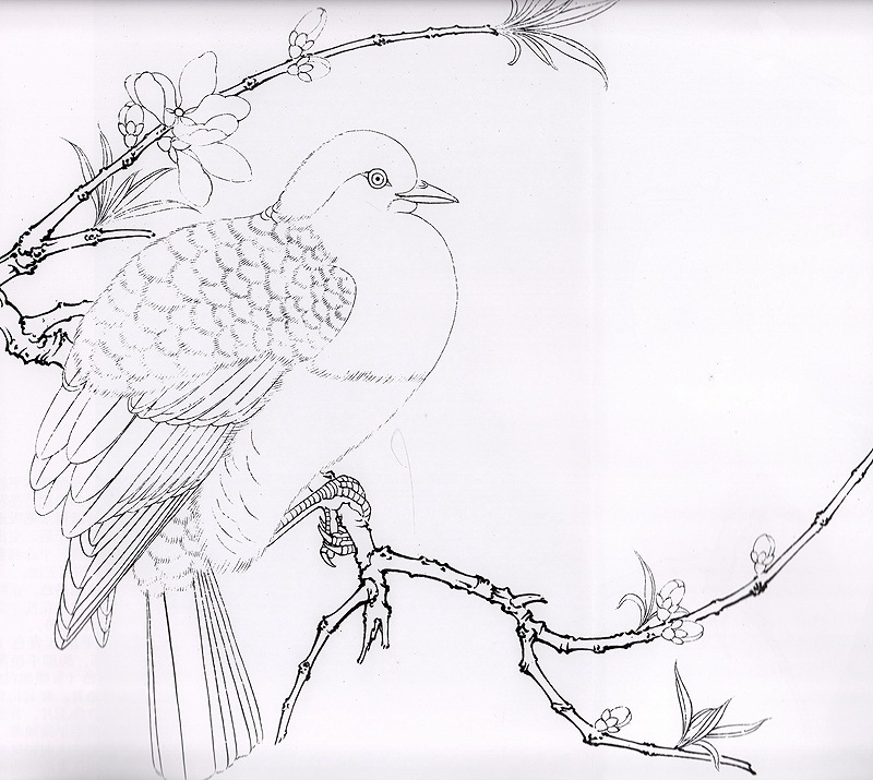 古美術模写 野卉秋鶉図 絹絵 水墨画 絹本着色 花鳥工筆画