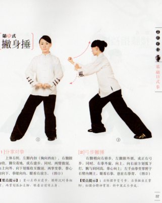 呉式太極基本13式拳 武術・太極拳・気功・中国語書籍+DVD