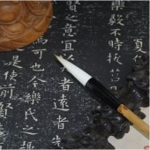 ��ɮ������ǡ��(��)�����ɮ�������ɮ�񡡡�����ǡ��(��)