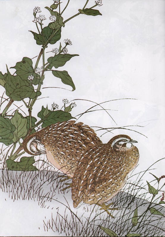 景年花鳥画譜 秋 今尾景年画集 中国絵画/景年花鸟画谱 秋