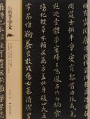 ��ܴ���ʸ���������ѡ������ƻ/��ܴ���ʸ