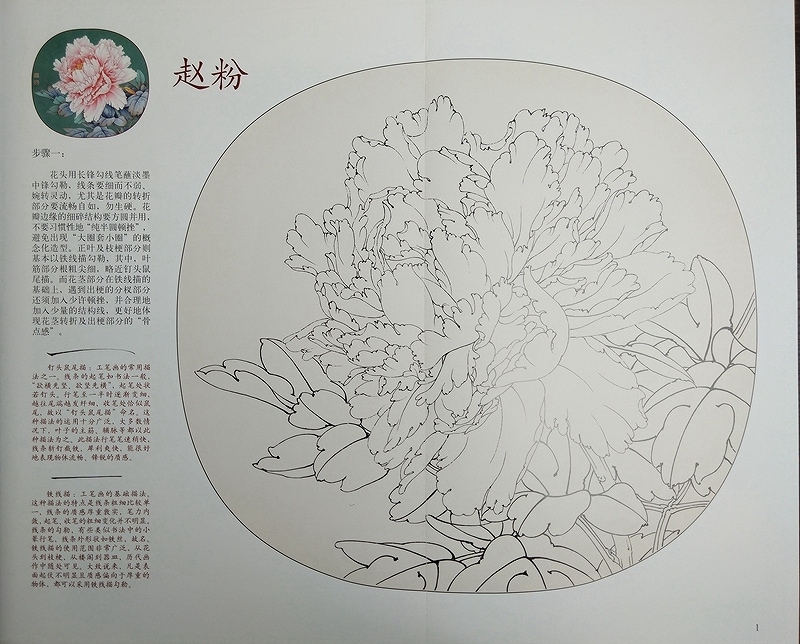 牡丹名品 趙粉 姚黄 六歩学工筆画 A3判 大人の塗り絵 中国絵画/牡丹