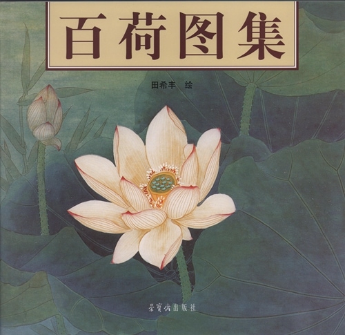 百蓮絵集 中国絵画/百荷图集 | 中国美術 芸術 趣味,特価