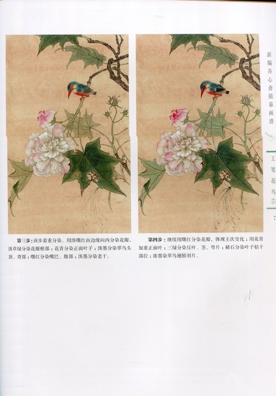 工筆花鳥5 中国画技法書 新編養心齋描摹画譜 中国絵画/工笔