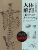 ���β�˶�ȳ�����ѡ�Human Anatomy������������/���β�˶Ϳ绘��应��
