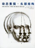 ư��������Ƭ����¤��Drawing the Human Head�������� /  动态����:头��结构