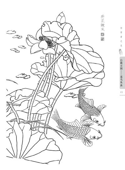 花鳥魚虫 白描百図 初心者の友 下絵 中国絵画/花鸟鱼