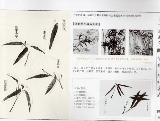 木版画茶子園画伝四君子蘭14図竹16図梅20図菊18図合本 木版画茶子園画伝四君子蘭14図竹16図梅20図菊18図合本 - メルカリ