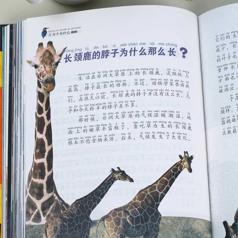 十万個のなぜ 子供必読金典シリーズ ピンイン付き中国語絵本/十万个