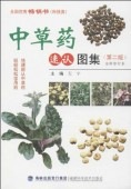 ��������������®ǧ�޽�(������)�������ǽ���/����药��®认图��(������)