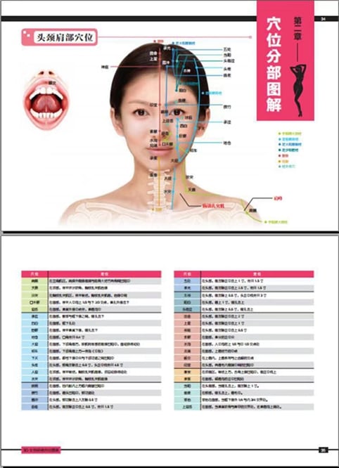 鍼灸力学　経絡の秩序と経穴力の研究 Amazon.co.jp: 鍼灸経路経穴図 (鍼灸経絡系穴図)(しんきゅうけ