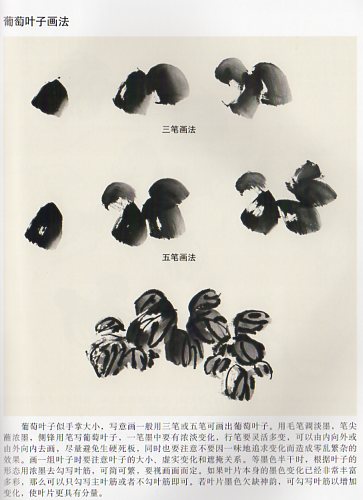 写意彩墨ブドウ 国画初学技法 中国絵画/写意彩墨葡萄 国画初学技法