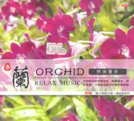 蘭 癒し音楽 CD1枚 中国音楽CD/兰 休闲音乐 黑胶CD | 中国音楽 | 新華書城