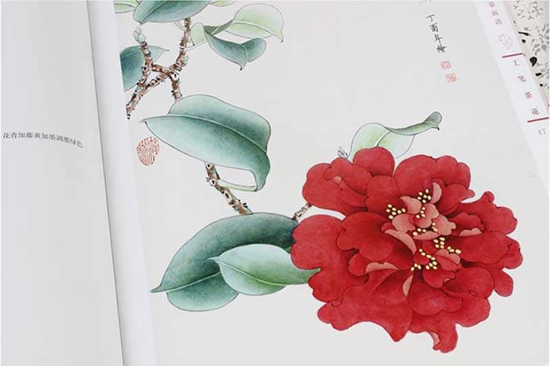 工筆茶花 新編養心斎模写画譜 彩墨画技法書 密画描き方 中国語絵画/工