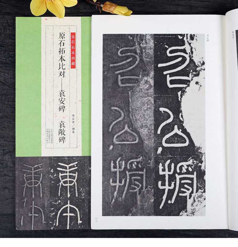 袁安碑 袁廠碑 原石拓本比対 金石拓本典蔵 中国語書道/袁安碑 袁敞碑金