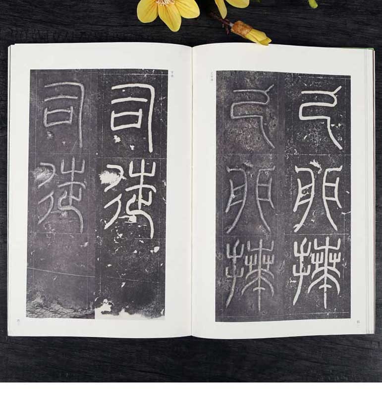 袁安碑 袁廠碑 原石拓本比対 金石拓本典蔵 中国語書道/袁安碑 袁敞碑金