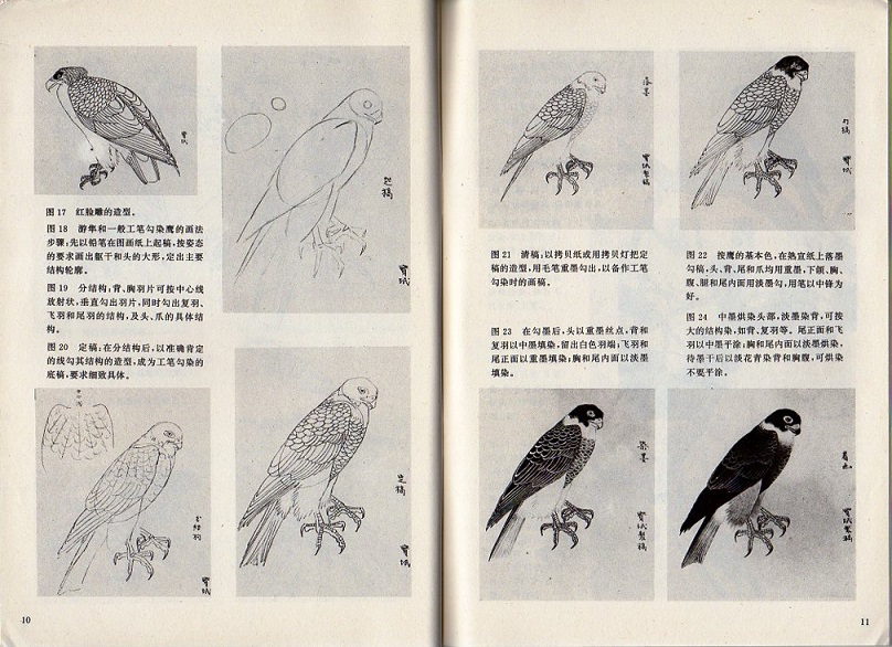 中国絵画　工芸　鷹 中国絵画 工芸 鷹Ω