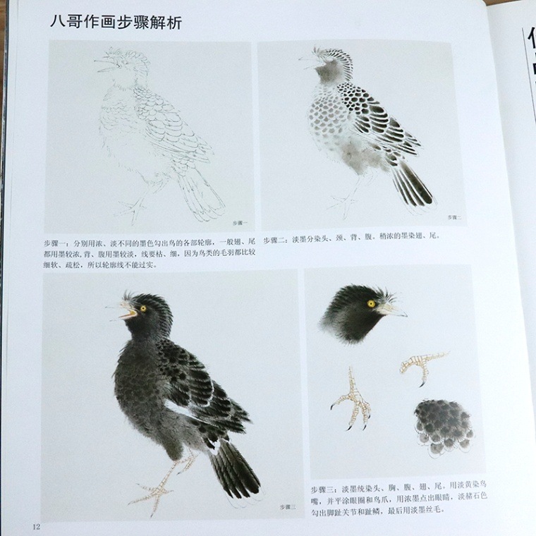 工筆禽鳥特写 細密絵のとりの描き方 当代工筆画技法解析 中国語
