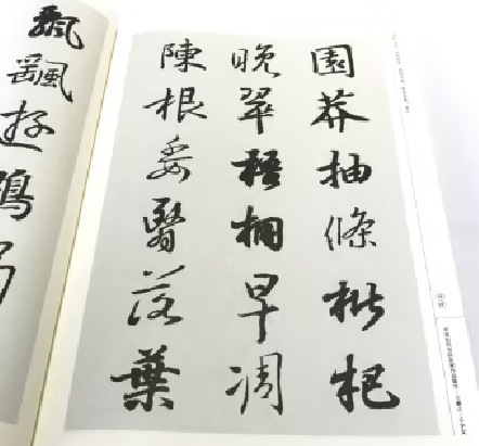 王義之 千字文 中国歴代書道名家作品集字 中国語書道/王羲之 千字文