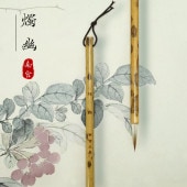 ��ͩ�����ʸ˼��ϵ�ӷ��ݡ���ܴɮ���羮�������ѡ��̷С�����Ρ���ɮ��/��宫ʸ˼��烛ͩ��ϵ�ӷ�����笔��ܴ��经��书瘦����书ˡ练���羮��